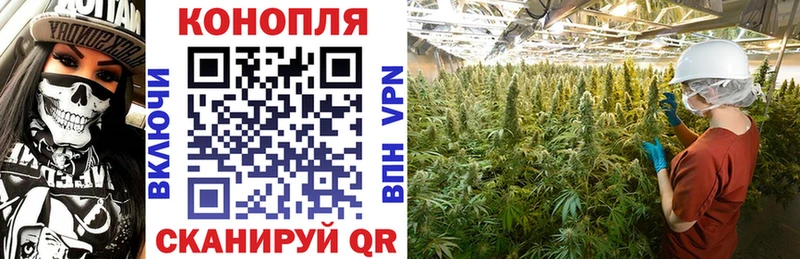 Купить закладку Бошки Шишки  Галлюциногенные грибы  Меф  КОКАИН  Заозёрный