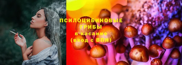 ГАЛЛЮЦИНОГЕННЫЕ ГРИБЫ Лабытнанги