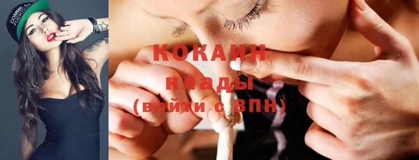spice Лагань