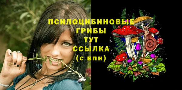 МДМА Ладушкин
