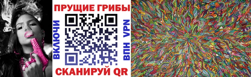 Галлюциногенные грибы Magic Shrooms  Купить где  Заозёрный 